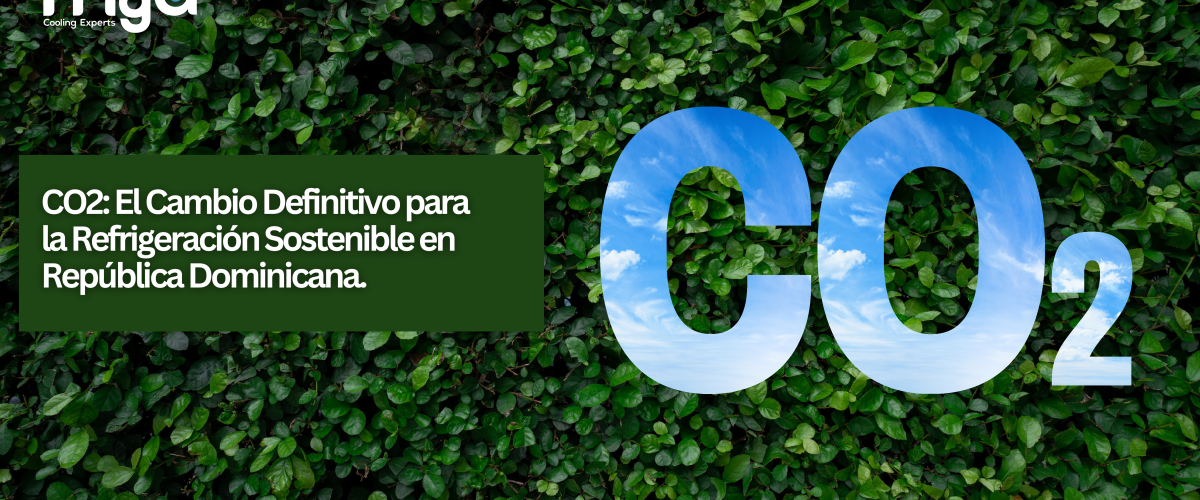 Imagen2